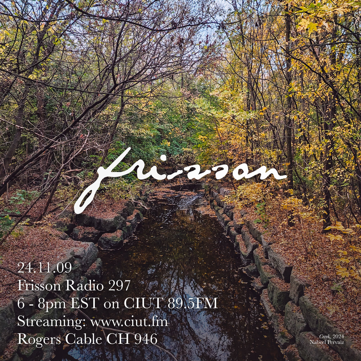 Frisson Radio 297 artwork